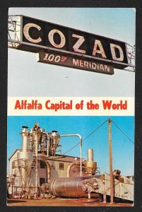 Alfalfa Capital of the World Cozad NE Unused c1950s