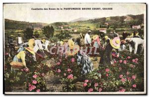 Old Postcard picking roses Parfumerie Bruno Court Grasse