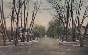 Cassil Place Carthage Missouri MO Postcard