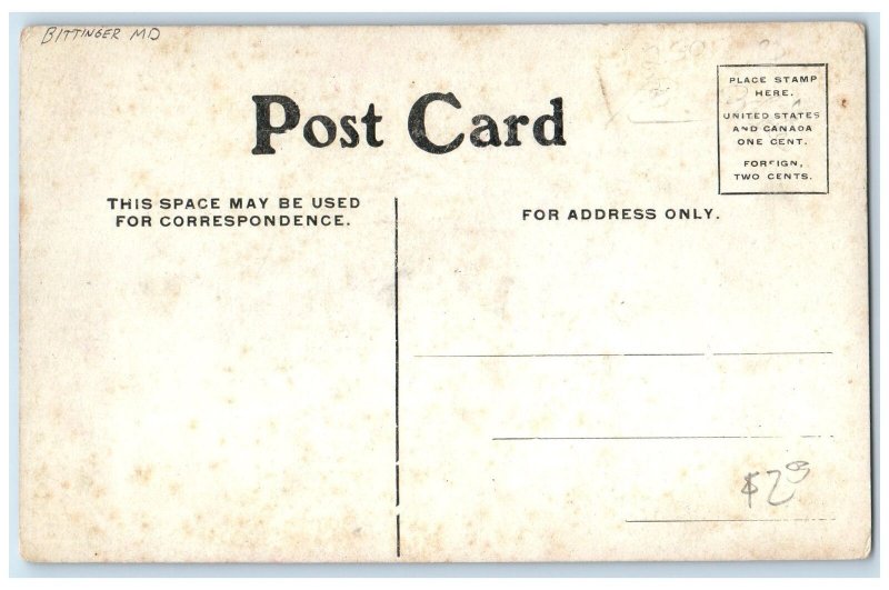 c1950 Greetings From Bittinger Flowers Glitter Maryland Correspondence Postcard