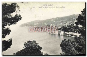 Old Postcard Villefranche sur mer Between the pines