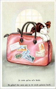 Postcard Comic Dog in suitcase - I think I've been let go/abandoned - Belgium