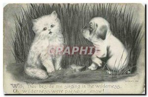 Postcard Old Cat Dog