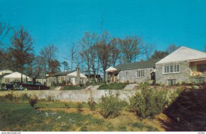 ASHEVILLE, North Carolina, ROCK HAVEN TERRACE, 50-60s