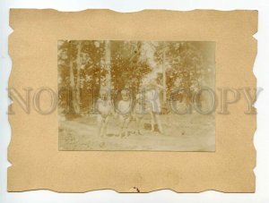 488565 RUSSIA Village Kids Sunbathing Summer 1927 year Vintage REAL PHOTO