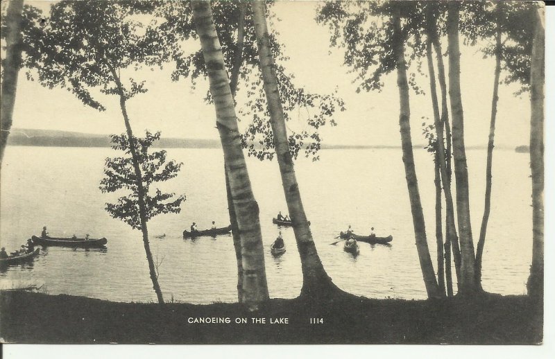 Canoeing On The Lake, View through the trees