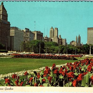 c1970s Chicago, IL Grant Park Rose Garden Lake Michigan Front Cars 4x6 PC M11