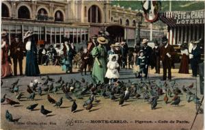 CPA AK MONACO - MONTE-CARLO - Pigeons (477169)
