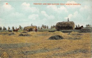 Timothy and Red Clover Field North Dakota c1910 Postcard