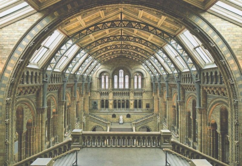 London Natural History Museum Hintze Hall Ceiling Postcard