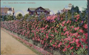 FLORAL HEDGE PASADENA CALIFORNIA