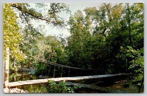 MN Little Falls Minnesota Swinging Foot Bridge Lindbergh State Park Postcard I27