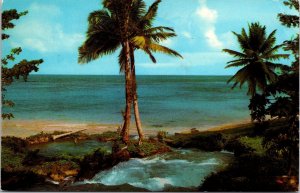 VINTAGE POSTCARD JAMAICAN MOUNTAIN STREAM RUSHING TOWARD THE CARIBBEAN SEA 1973