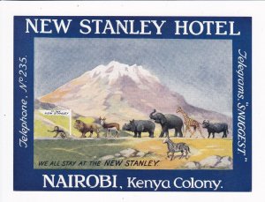 New Stanley Hotel, Nairobi, Kenya Luggage Label, Mint (39983)