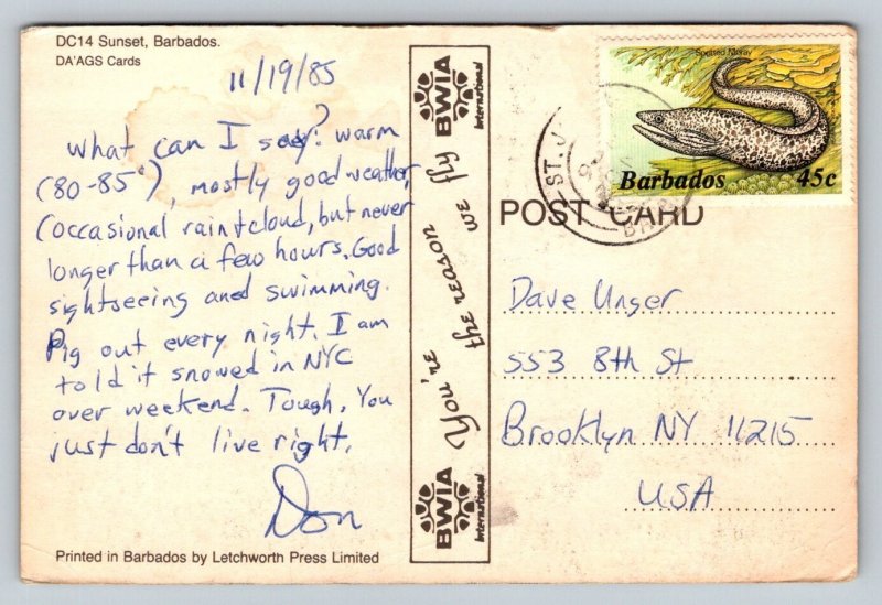 Barbados  Sunset    Postcard