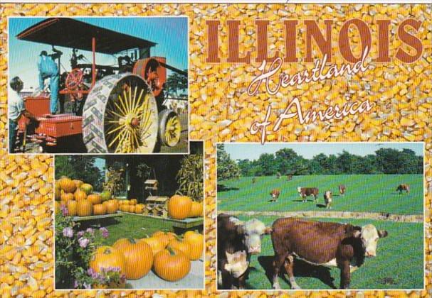 Illinois Heartland Of America Farm Scenes