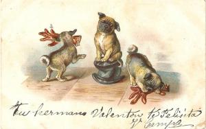 \Dogs doing mischief\ Antique postcard