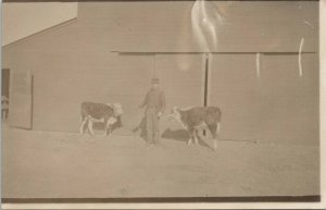 RPPC Farmer in Suit Rope Leads Holstein Calves Barn Real Photo Postcard KRUXO