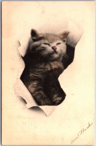 VINTAGE POSTCARD SMILING CAT BREAKING THROUGH PAPER MAILED STATION D 1908