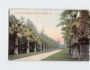 Postcard Palm Walk, Eastlake Park, Los Angeles, California