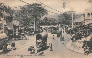 PETTAH OR NATIVE TOWN OF COLOMBO CEYLON POSTCARD (c. 1910)