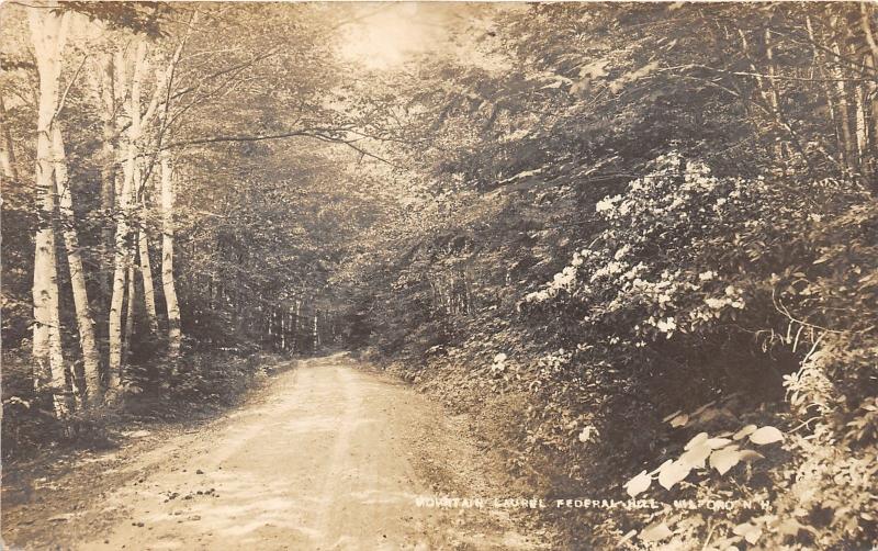 Milford New Hampshire~Mountain Laurel & Birch Trees on Federal Hill~1913 RPPC