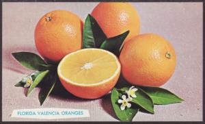 Florida Valencia Oranges Postcard