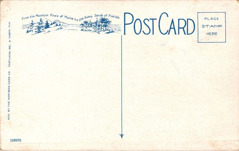 Postcard Moses Band Playing in Williams Park, St. Petersburg, Florida