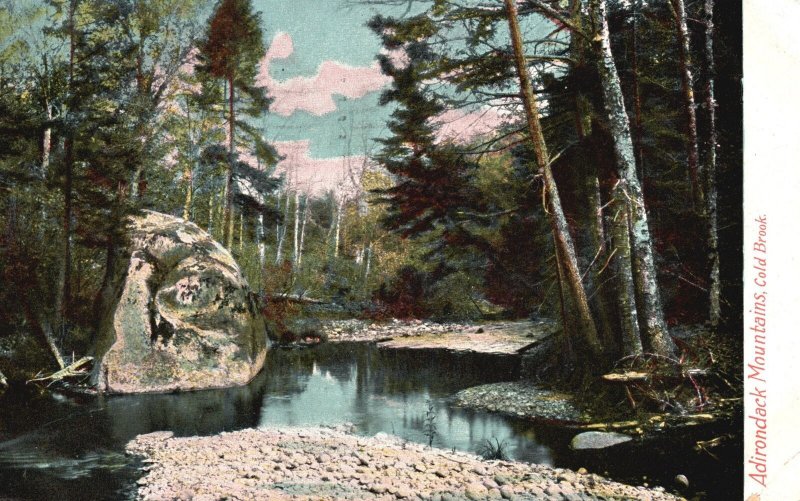 Vintage Postcard 1911 Cold Brook River Trees Adirondack Mountains New York NY