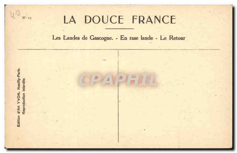 Old Postcard Gascogne Landes In open moor Return