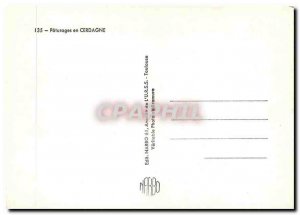 Postcard Modern Cows Grazing in Cerdanya