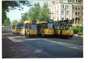 Trolley Buses, Amsterdam, Netherland