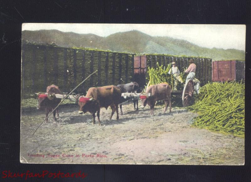 PORTO RICO LOADING SUGAR CARE PUERTO RICO OXEN DRAWN FARMING OLD POSTCARD