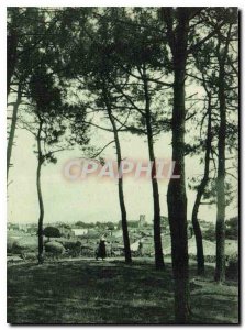 Postcard Old La Tranche sur Mer view of Pine wood