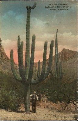 TUCSON AZ Babino Canyon Catalina Mountains HAND COLORED A...