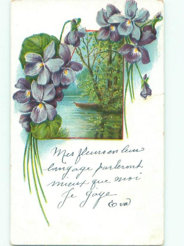 Divided-Back BEAUTIFUL FLOWERS SCENE Great Postcard AA3566