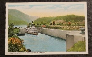 Mint Vintage Postcard Steamer Bailey Gatzert Cascade Locks Columbia River Oregon