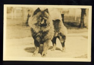 Photo Postcard, Old Grist Mill Dog Bread, Chow Or Terrier Breed?, 1930!