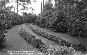 Tallahassee Florida 1940s RPPC Real Photo Postcard Killearn Gardens