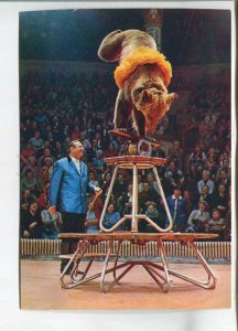 480957 1979 Soviet circus attraction bear circus trainer Valentin Filatov