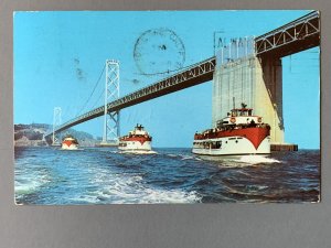 Harbor Tours San Francisco CA Chrome Postcard A1170085052