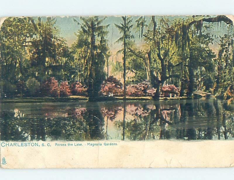 Pre-1907 Tuck MAGNOLIA GARDENS Charleston South Carolina SC A1038