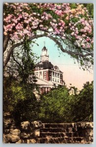 Hand Colored   The Tower of the Homestead  Hot Springs  Virginia  Postcard  1943