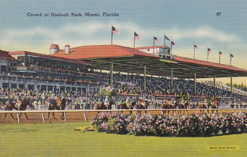 Florida Miami Crowd At Hialeah Park