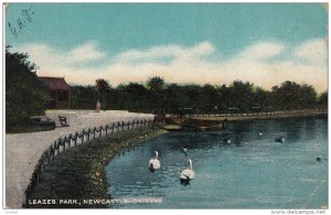 Leazes Park, Swans, NEWCASTLE-ON-TYNE, England, UK, PU-1907