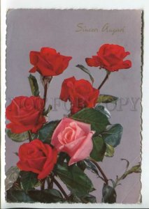 440935 Italy gorgeous roses RPPC to Germany