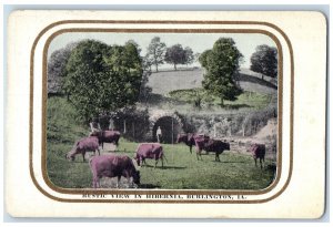 c1910's Rustic View In Hibernia Burlington Iowa IA Unposted Antique Postcard