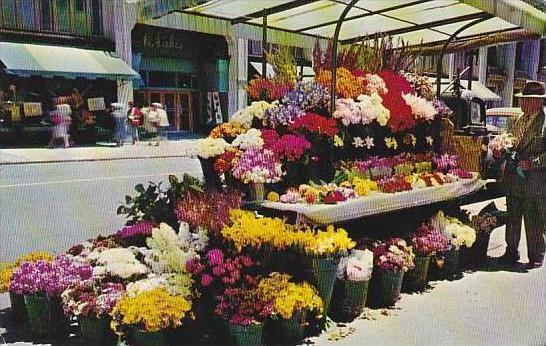 California San Francisco Sidewalk Flower Stand