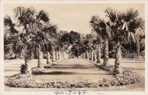 Florida Ocala Entrance To Silver Springs Real Photo