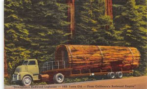 Eureka California Hammond Lumber Redwood Log House Vintage Postcard AA66820